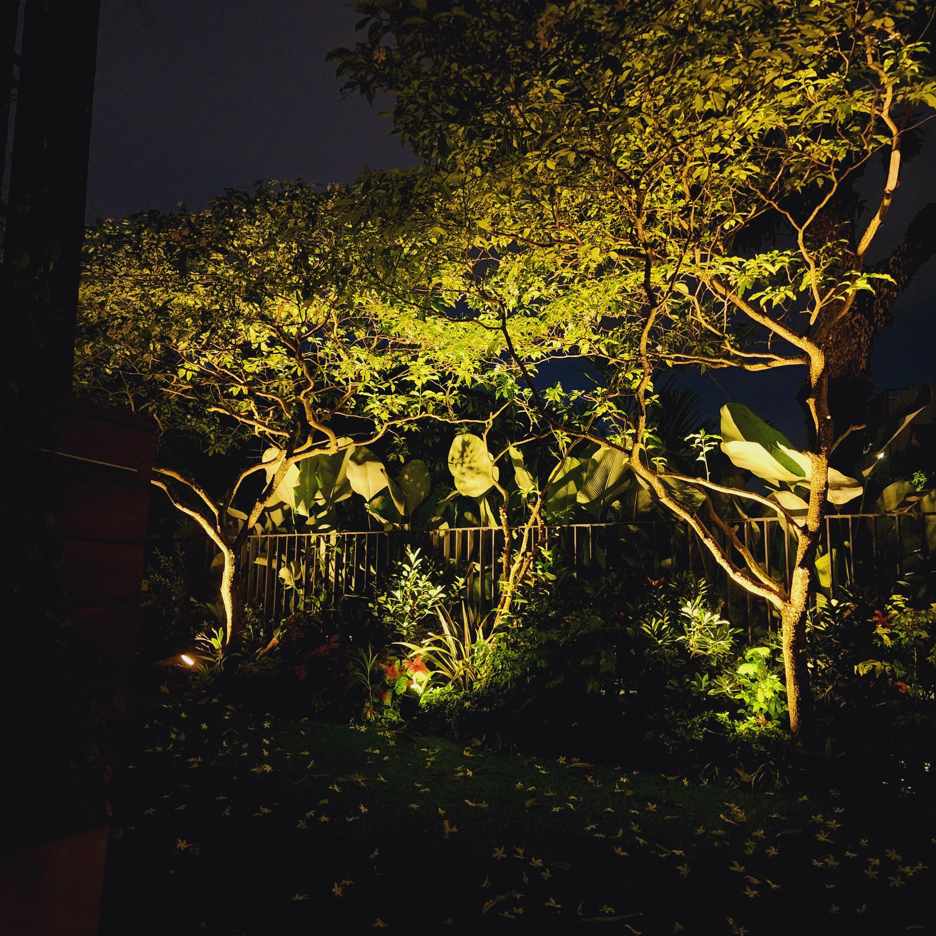 Superbeam 60W Solar SpotLight