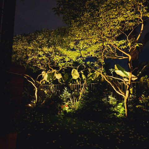 Superbeam 60W Solar SpotLight