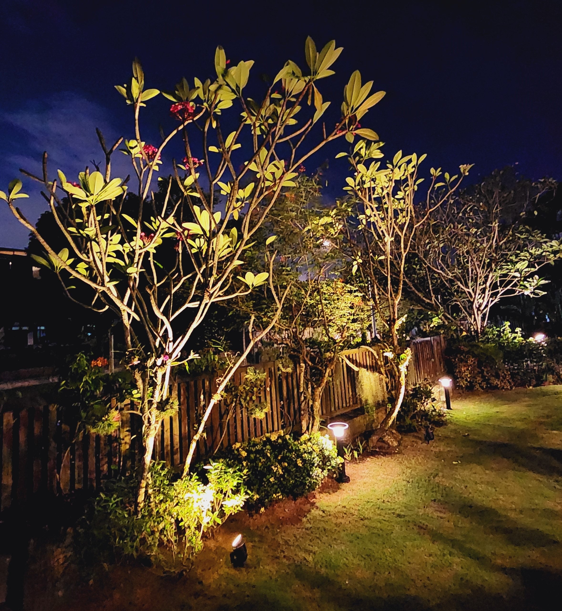 Superbeam 60W Solar SpotLight