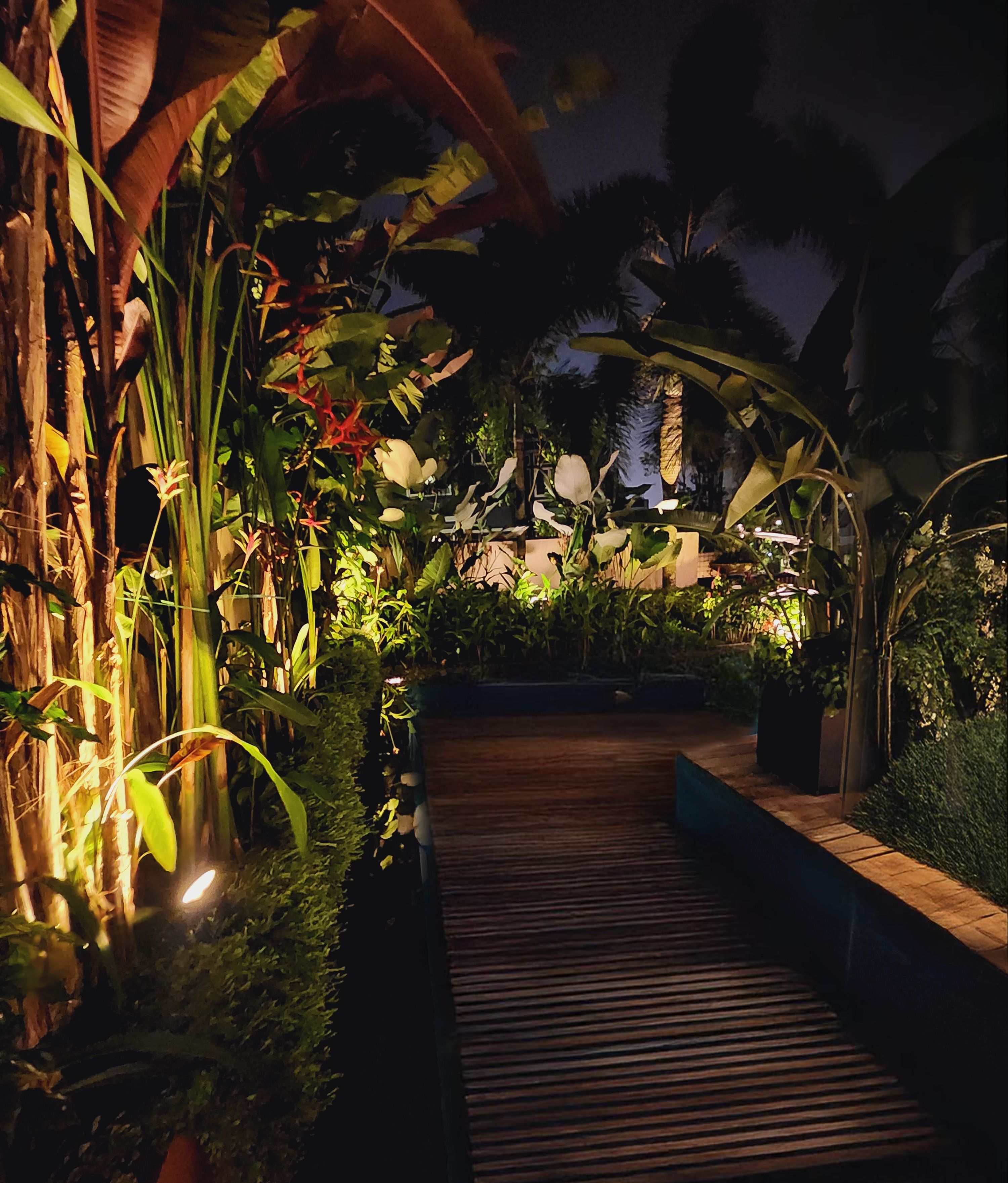 Tropical solar lights hotsell