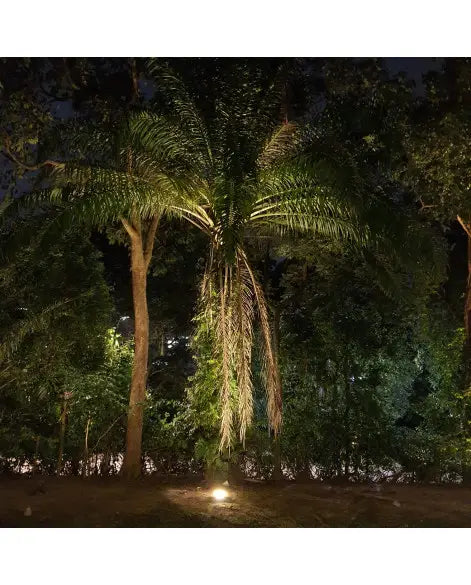 Starblast 300W Solar Landscape Lights (Promotion)