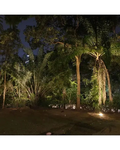 Starblast 300W Solar Landscape Lights (Promotion)
