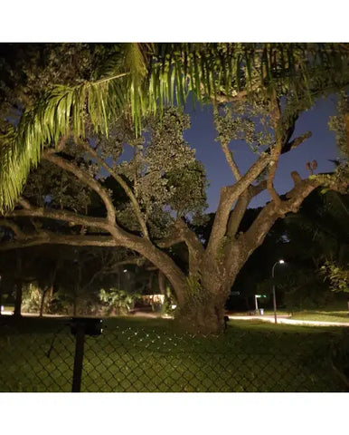 Starblast 300W Solar Landscape Lights (Promotion)