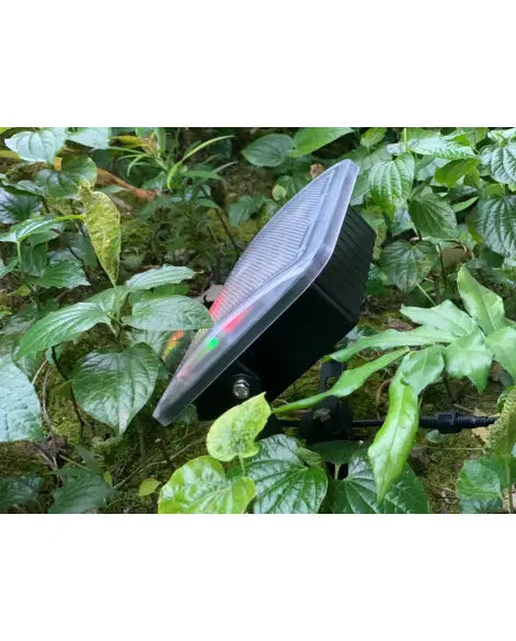 Starburst 80W Wide-angle Programmable Landscape Spike Light (Latest Upgrade)