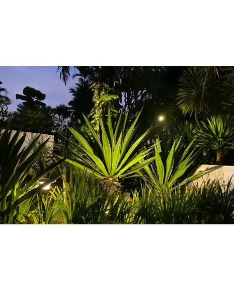 Starburst 80W Wide-angle Programmable Landscape Spike Light (Latest Upgrade)