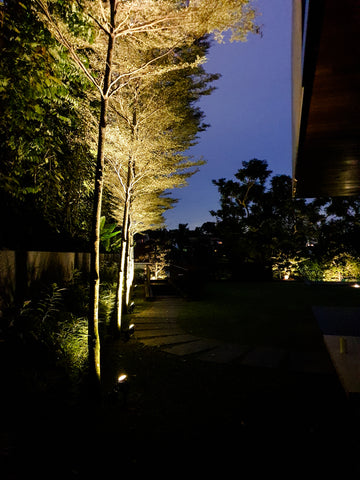 Superbeam 60W Solar SpotLight