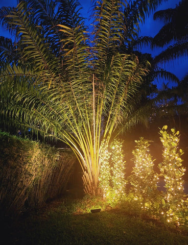 Starburst 200W Solar Spike / Flood Lights Comes with 35W Solar Panel