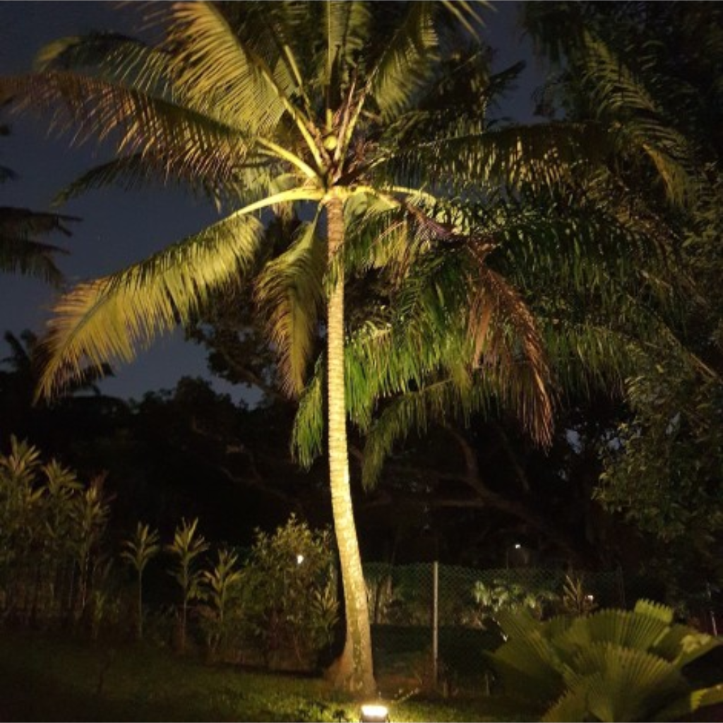 Starblast 300W Solar Landscape Lights (Promotion)