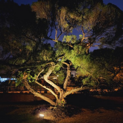 Starblast 300W Solar Landscape Lights (Promotion)
